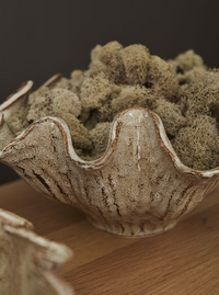 Caraway Bowls