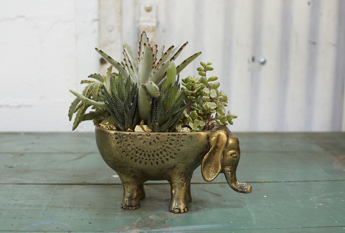 Ezzie Elephant Pot